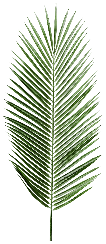 Ahuvi Sustainability