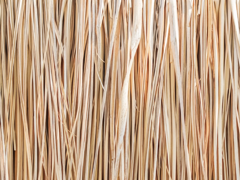 Ahuvi Properties Interior Finishes